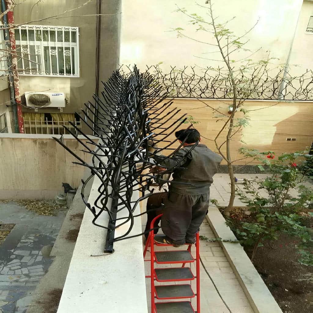 حفاظ شاخ گوزنی در کاشان