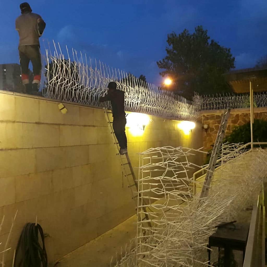 خرید حفاظ شاخ گوزنی ضد نفوذ در استان گیلان