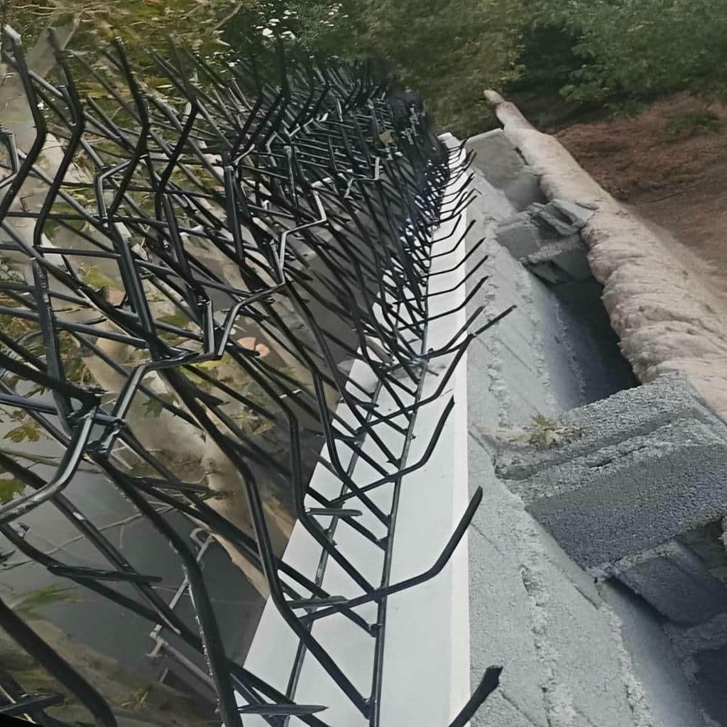 قیمت حفاظ شاخ گوزنی میلگرد ضخیم در ایلام