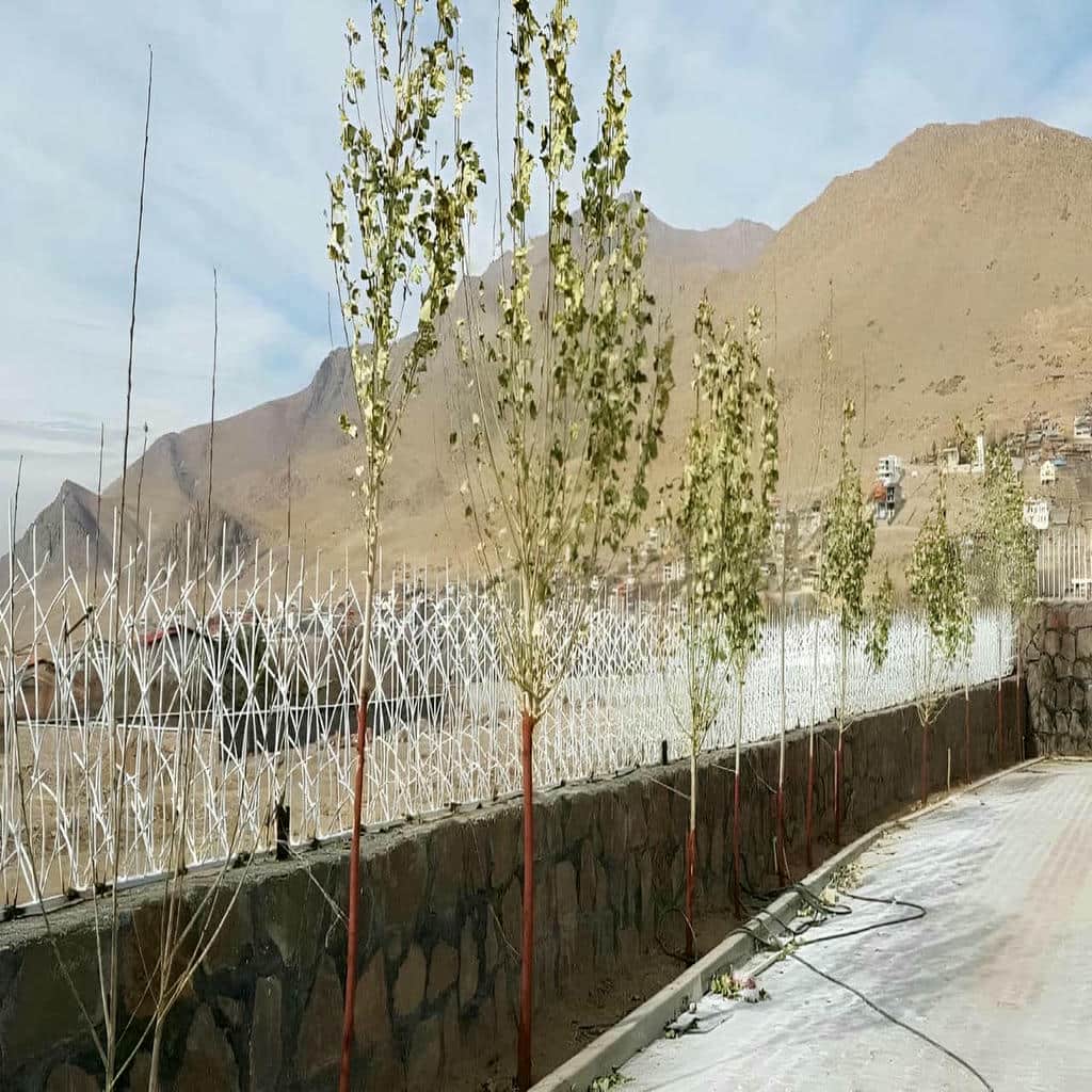 خرید حفاظ شاخ گوزنی تراکم بالا در اهواز
