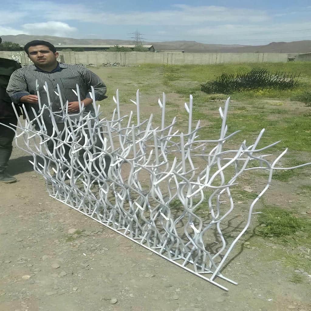 حفاظ شاخ گوزنی در کرج