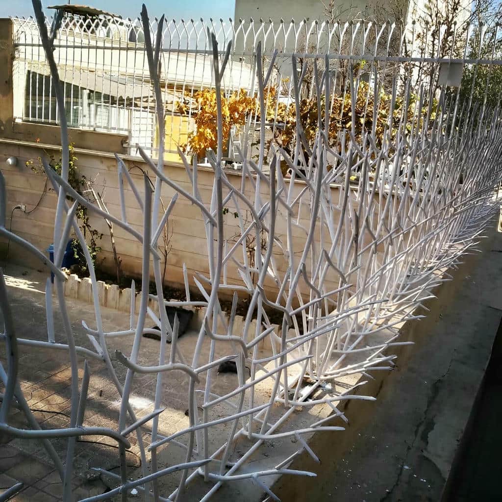 قیمت حفاظ شاخ گوزنی جوش یکنواخت در نظرآباد