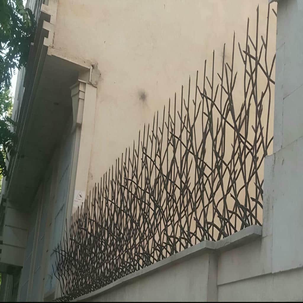 خرید حفاظ شاخ گوزنی شاخه تقویتی در اردبیل
