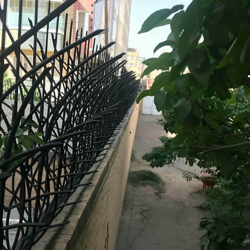 کارخانه حفاظ شاخ گوزنی شاخه تقویتی در رشت