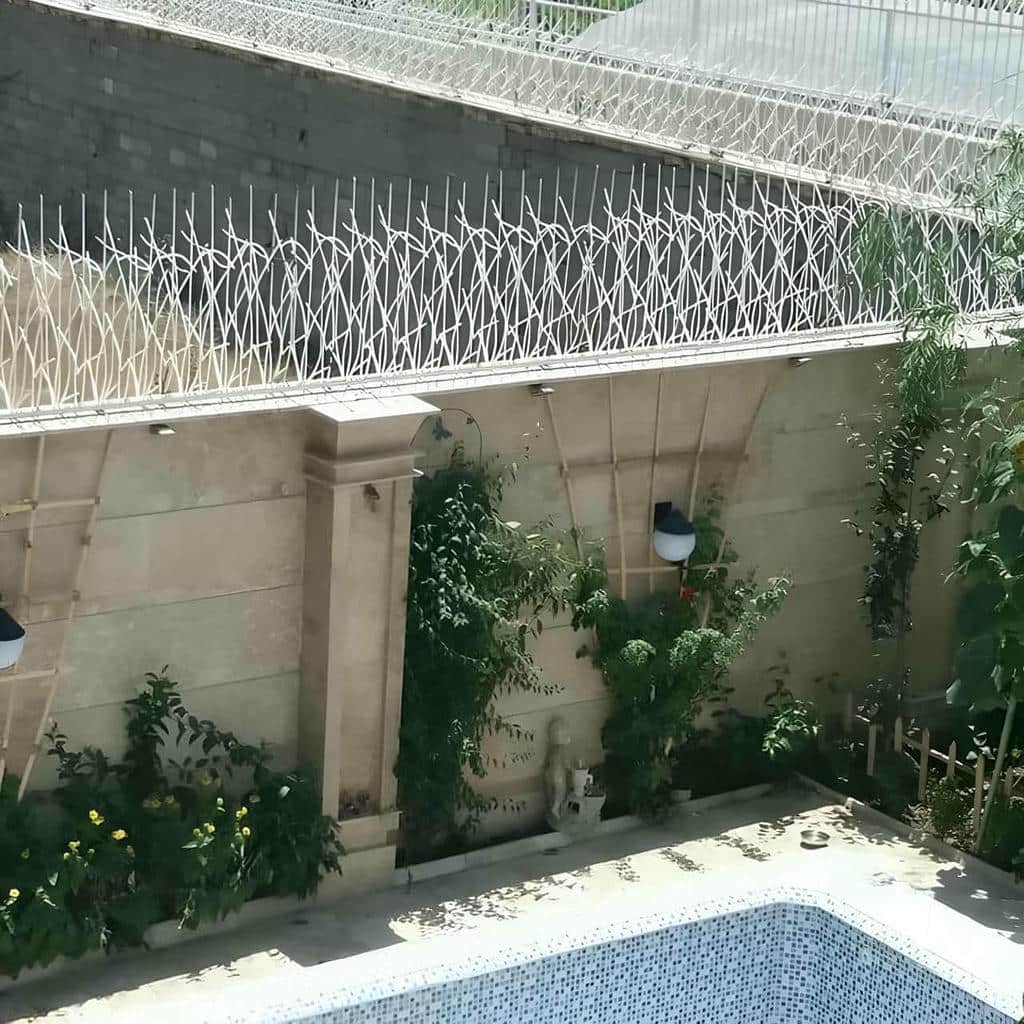 کارخانه حفاظ شاخ گوزنی کارگاهی در چابهار کارخانه حفاظ شاخ گوزنی کارگاهی در چابهار