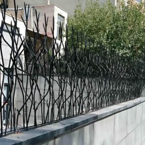حفاظ شاخ گوزنی در اردبیل