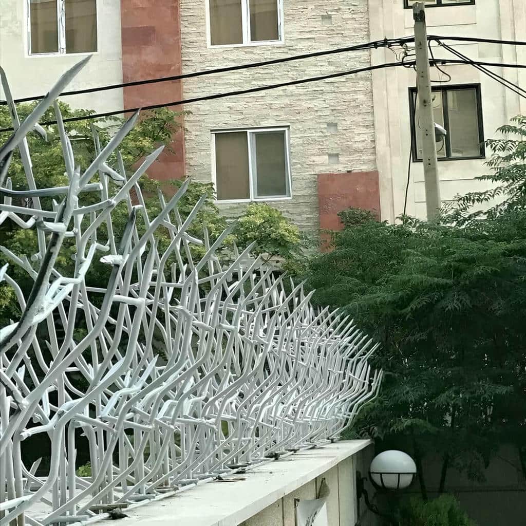 کارخانه حفاظ شاخ گوزنی صنعتی در تهران