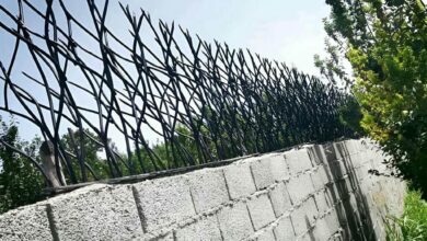 حفاظ شاخ گوزنی در عظیمیه کرج
