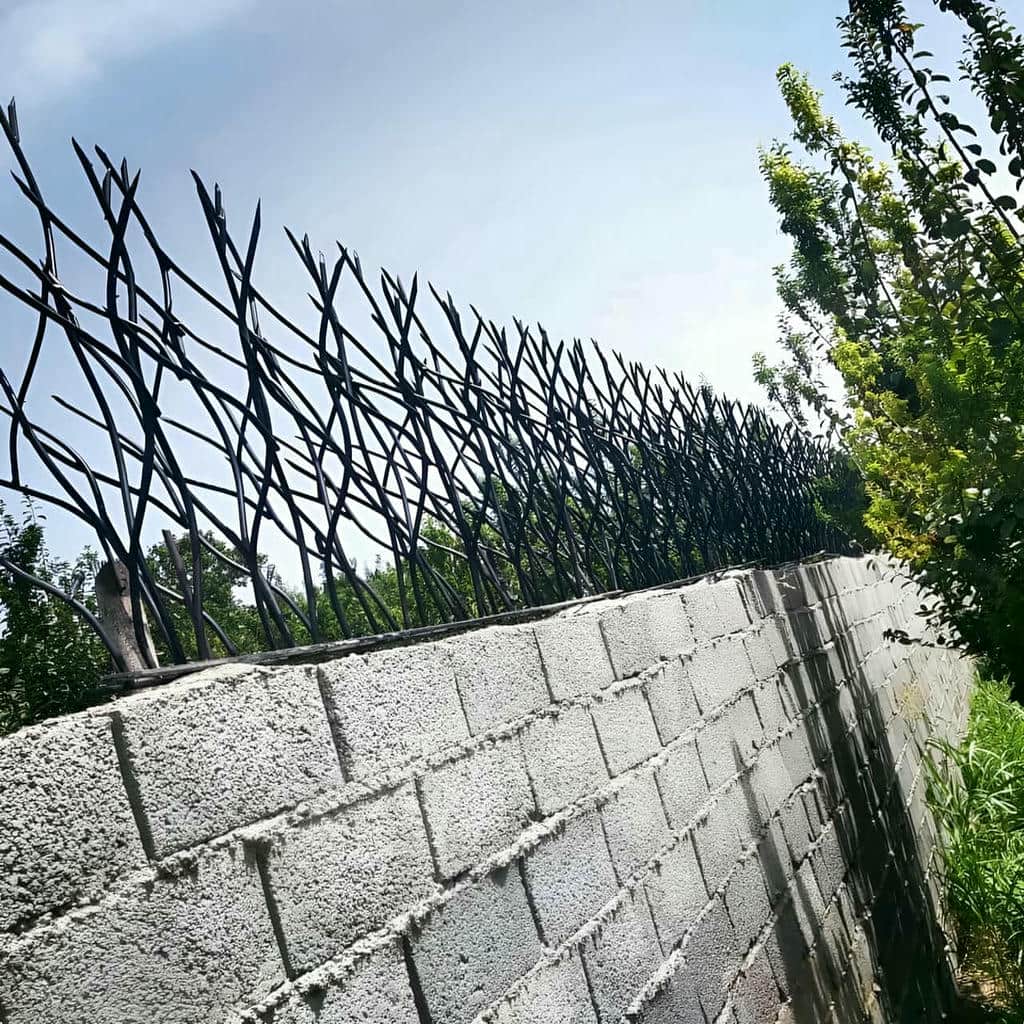 حفاظ شاخ گوزنی در عظیمیه کرج
