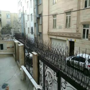 حفاظ شاخ گوزنی در نوشهر
