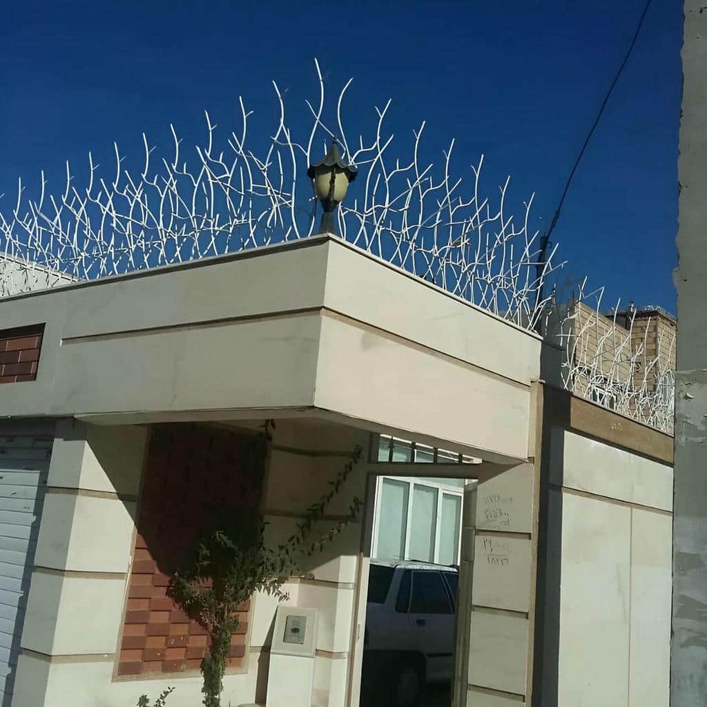 قیمت حفاظ شاخ گوزنی ارتفاع متناسب در پرند