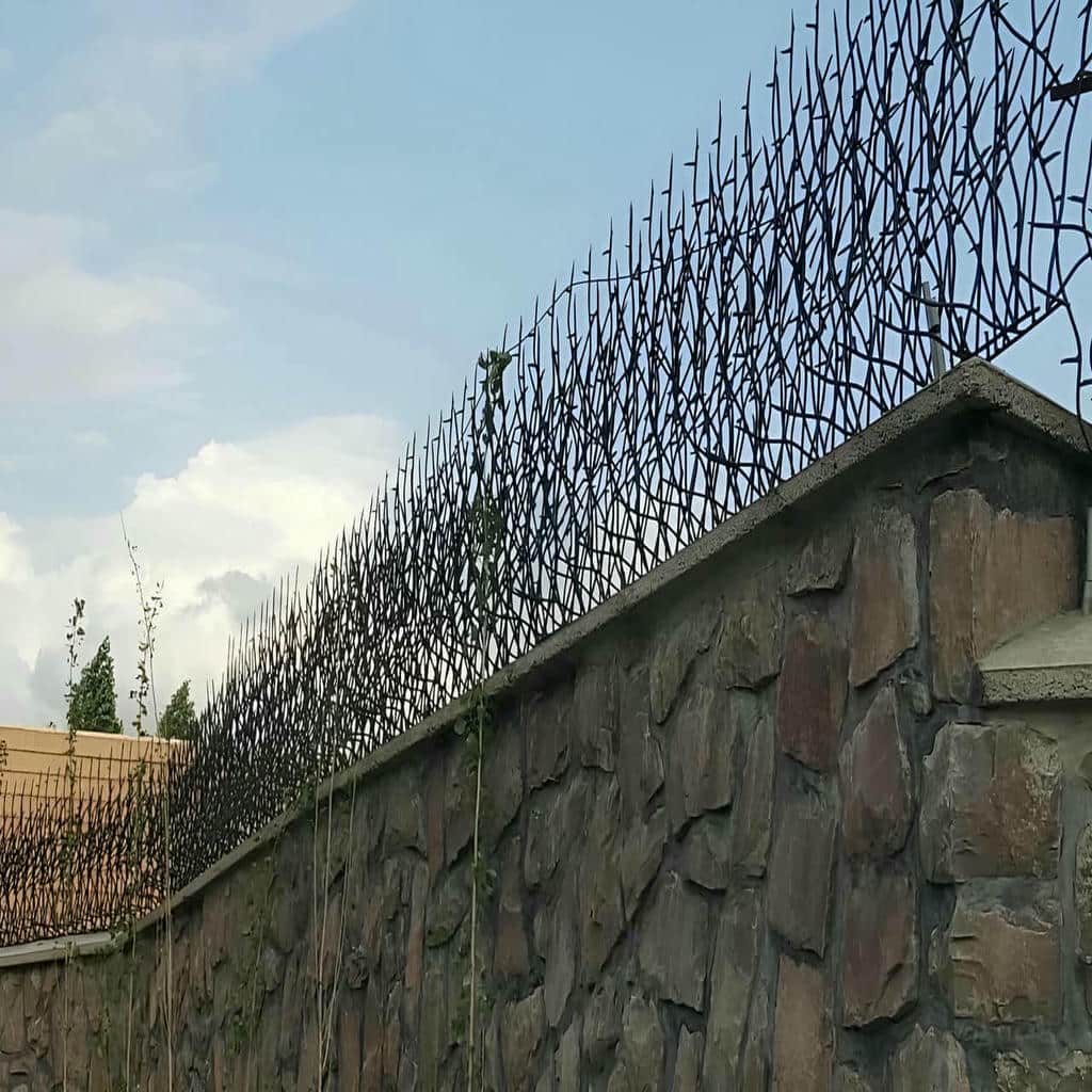 کارخانه حفاظ شاخ گوزنی کارگاهی در قزوین