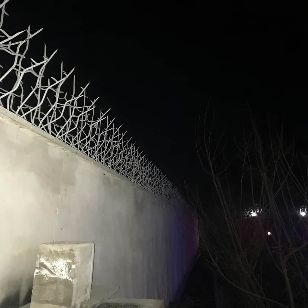 حفاظ شاخ گوزنی خاردار با شاخه های تیز