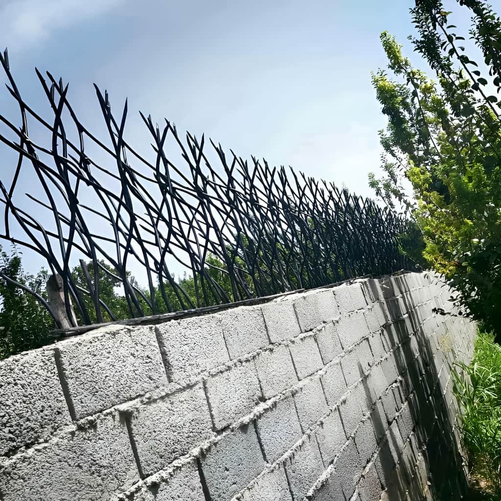 حفاظ شاخ گوزنی با برش دقیق شاخه ها