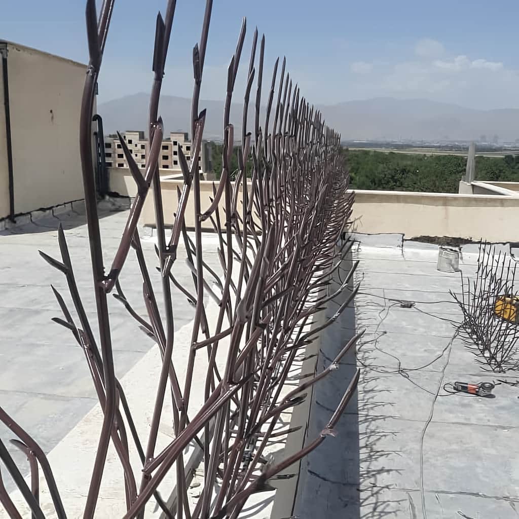 حفاظ شاخ گوزنی با نصب محکم روی دیوار