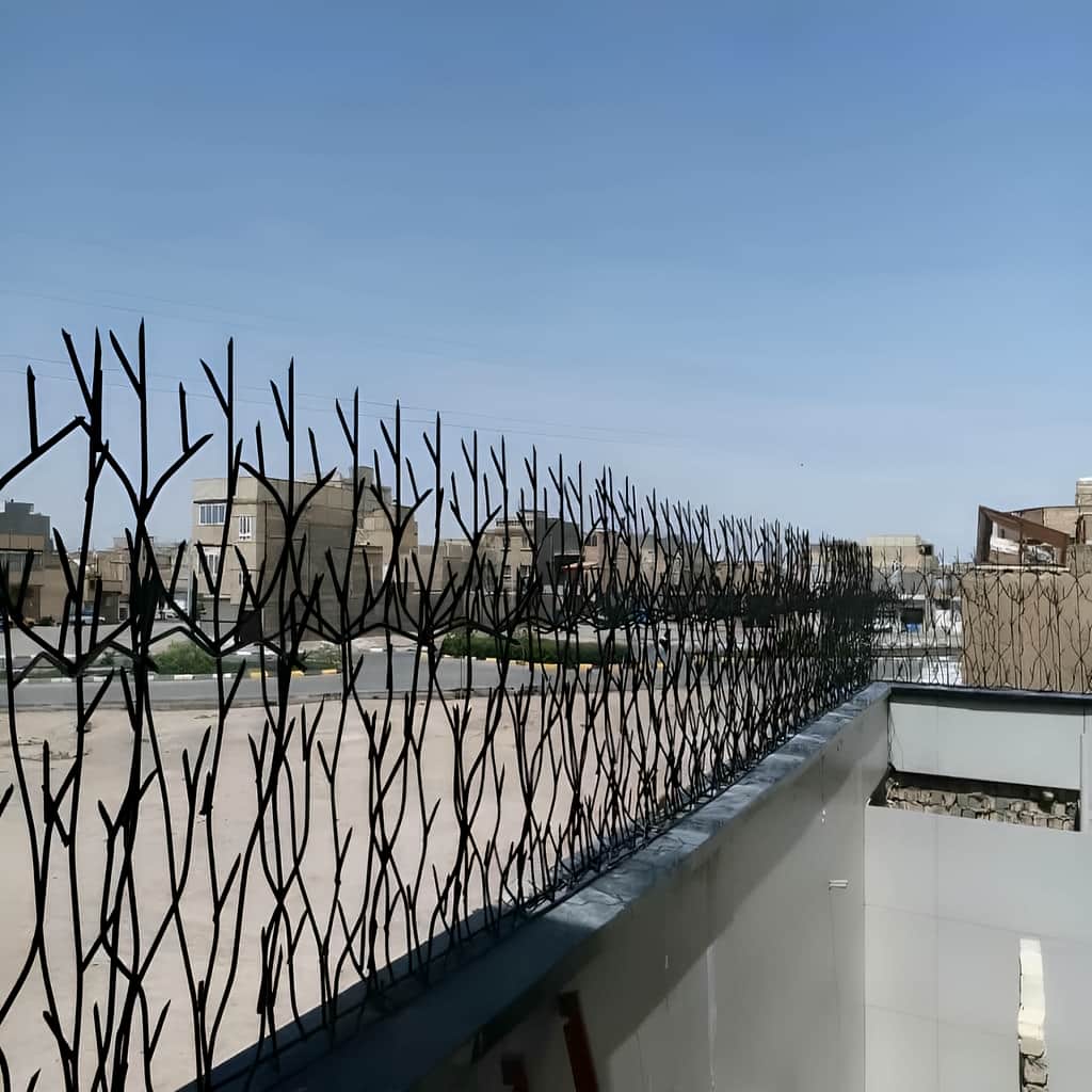 حفاظ شاخ گوزنی با نصب دقیق روی دیوار