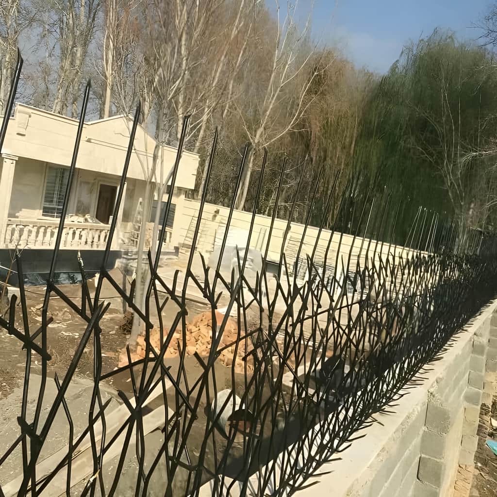 حفاظ شاخ گوزنی خاردار با نصب دقیق روی دیوار