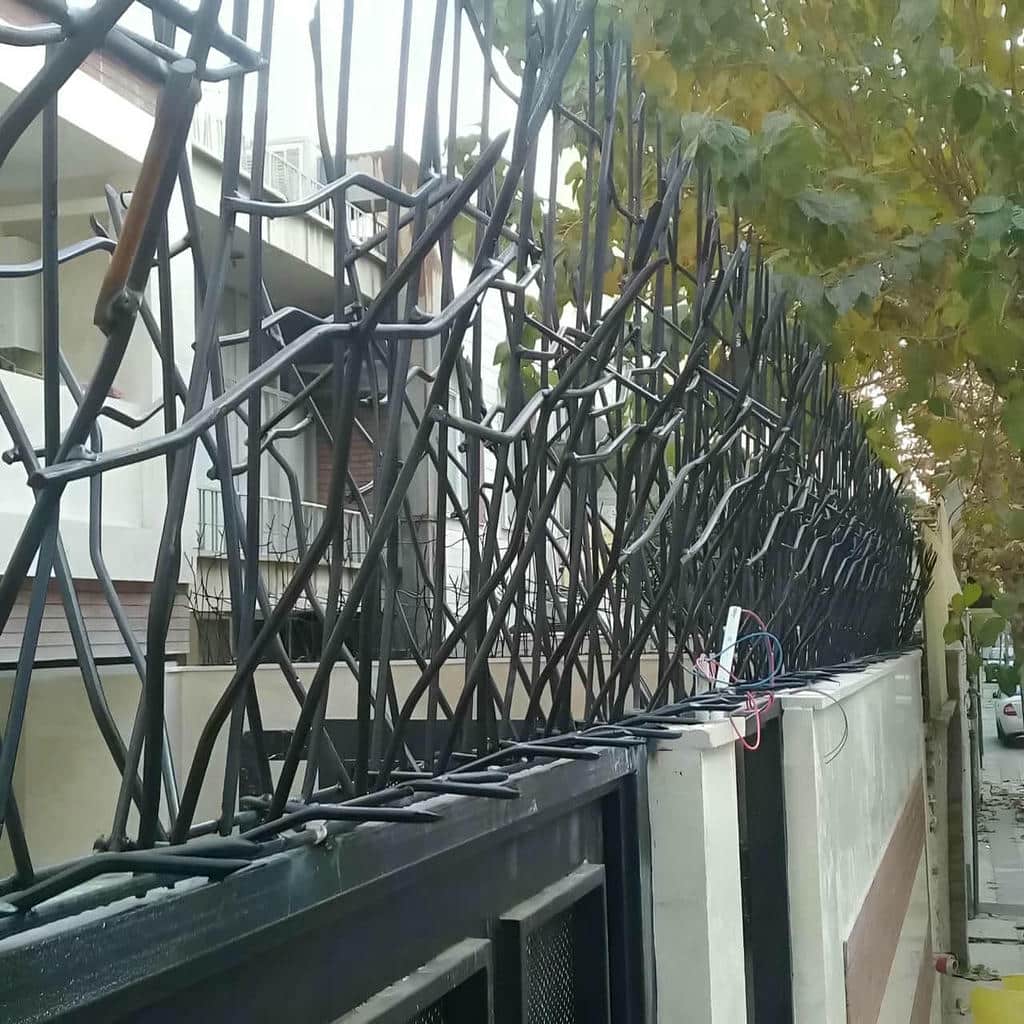 حفاظ شاخ گوزنی با برش دقیق شاخه ها