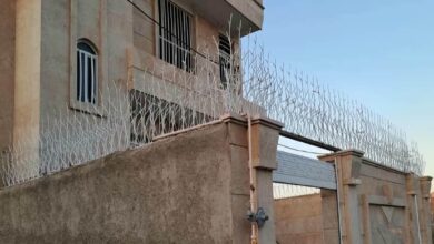 12 مدل حفاظ شاخ گوزنی پرتراکم امنیتی