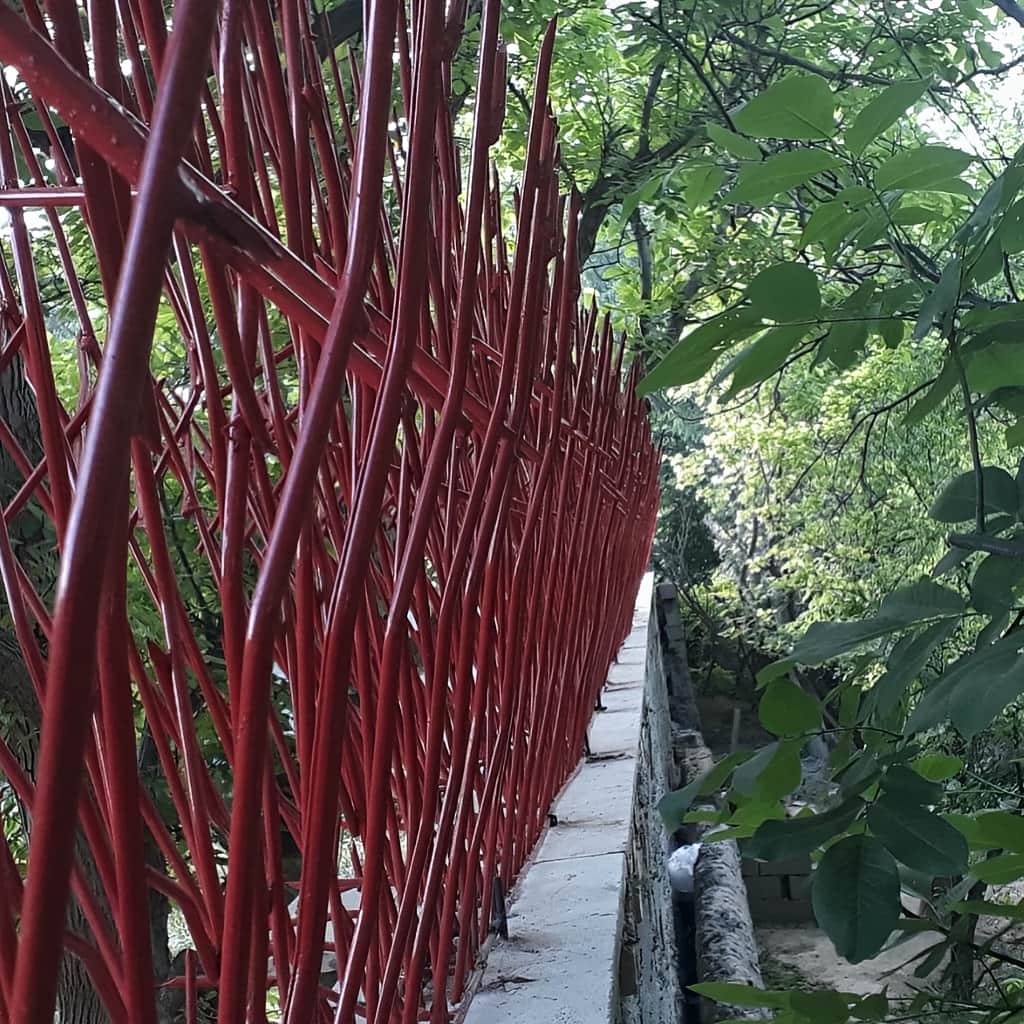 حفاظ بوته ای با پوشش رنگی دیوار ساختمان