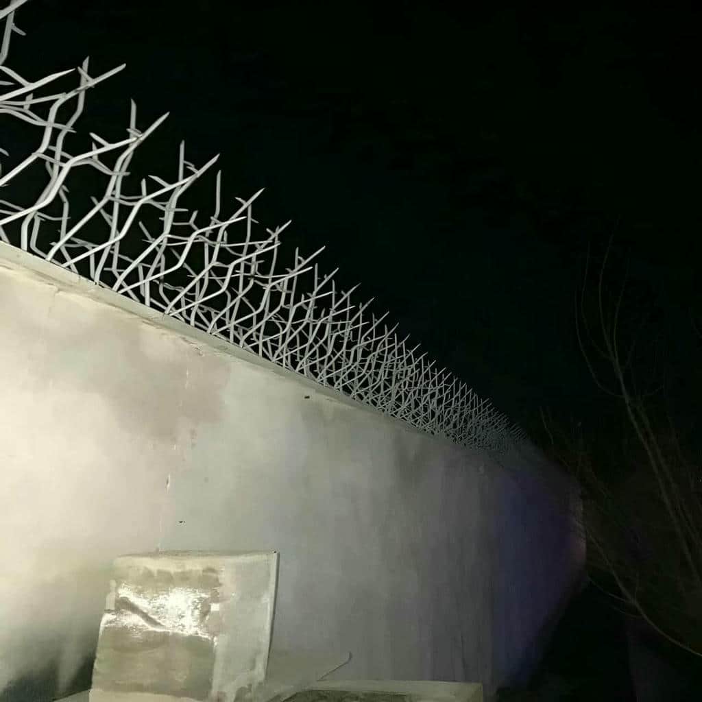 حفاظ دیوار شاخ گوزنی اراک نمای ساختمان
