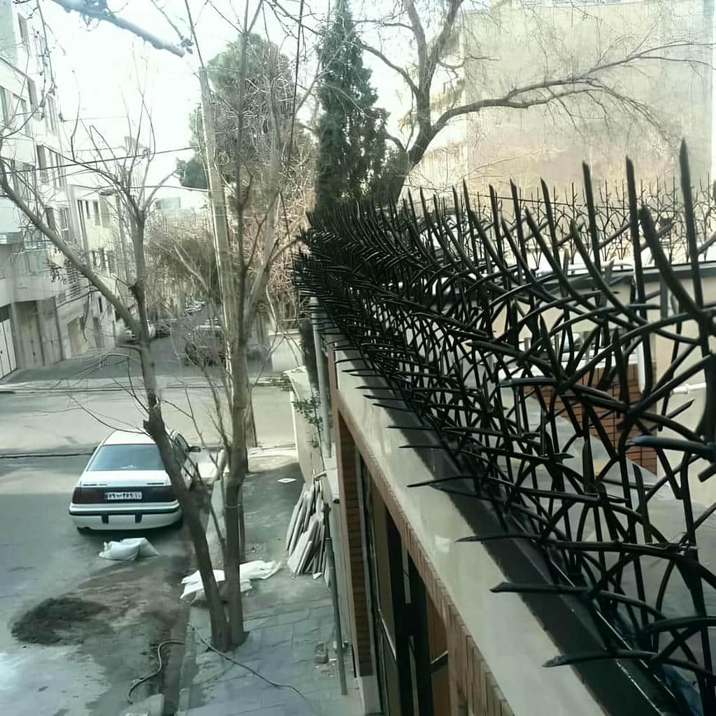 حفاظ شاخ گوزنی استان همدان در نمای ساختمان